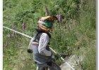 2013-07-13 -IMG 1611